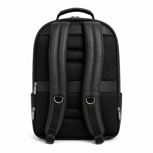 Back Pack PV